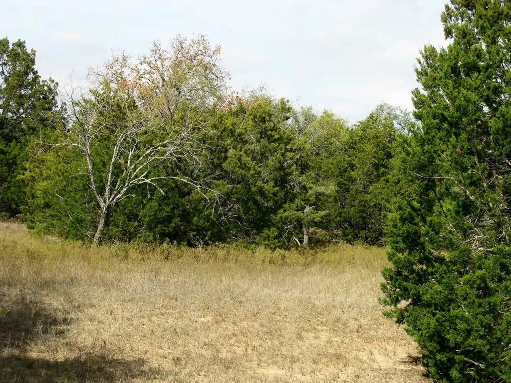 Lot 140 Ph 6 County Road 421 Evant TX 76566