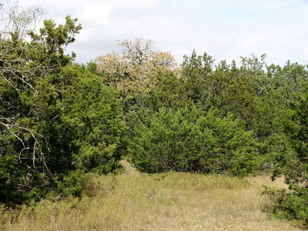 Lot 140 Ph 6 County Road 421 Evant TX 76566