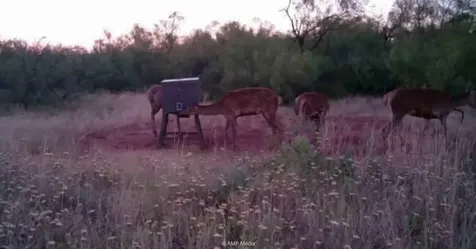T B D Fm 600 Haskell TX 79521