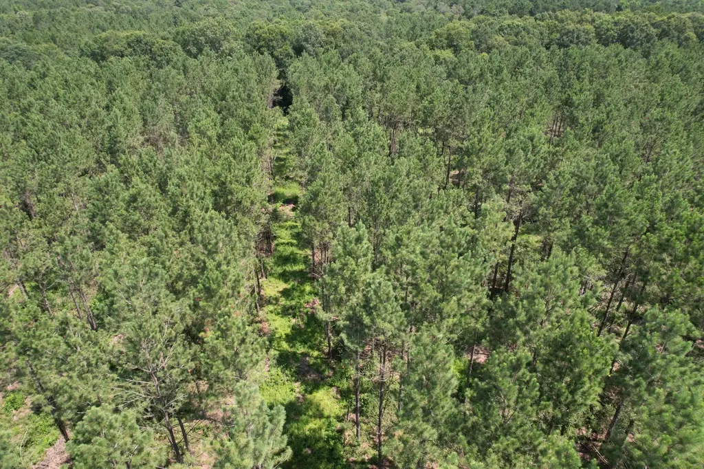 Tbd County Road 3706 Tenaha TX 75974