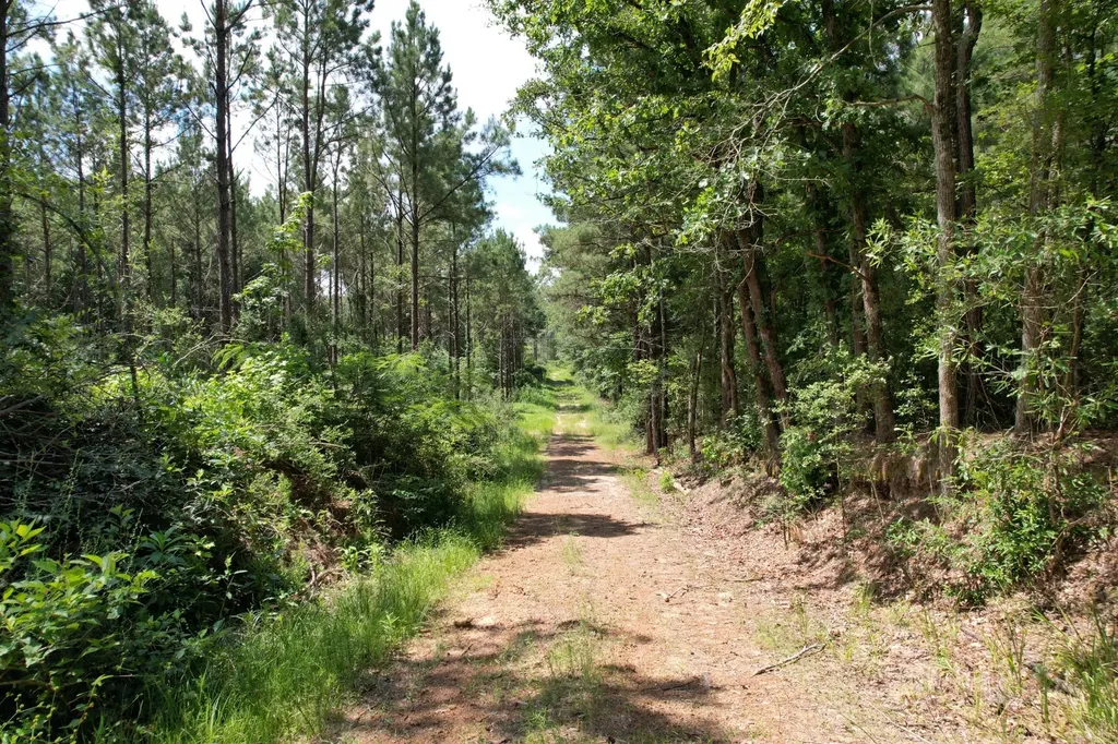 Tbd County Road 3706 Tenaha TX 75974