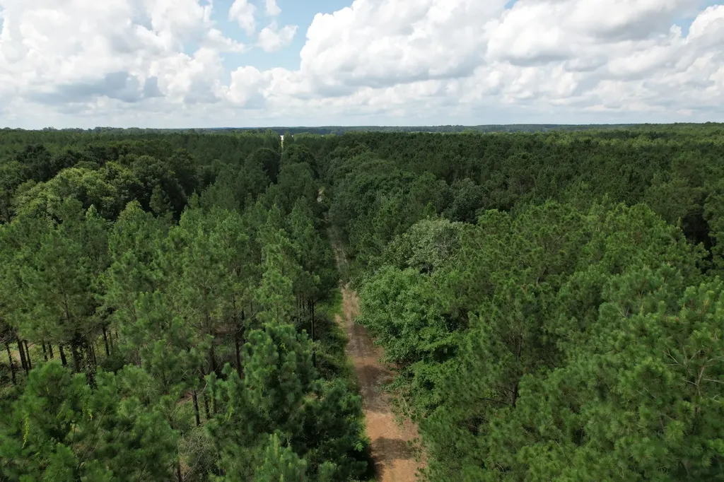 Tbd County Road 3706 Tenaha TX 75974