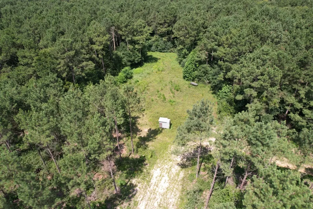 Tbd County Road 3706 Tenaha TX 75974
