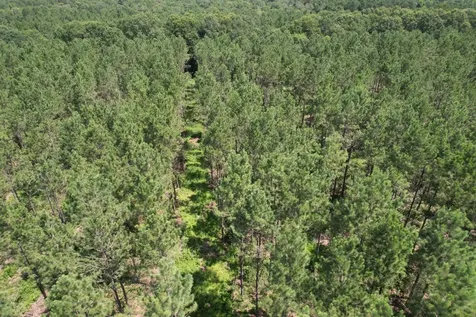 Tbd County Road 3706 Tenaha TX 75974