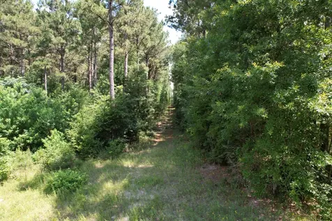 Tbd County Road 3706 Tenaha TX 75974
