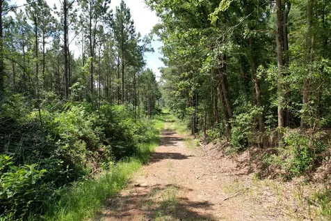 Tbd County Road 3706 Tenaha TX 75974