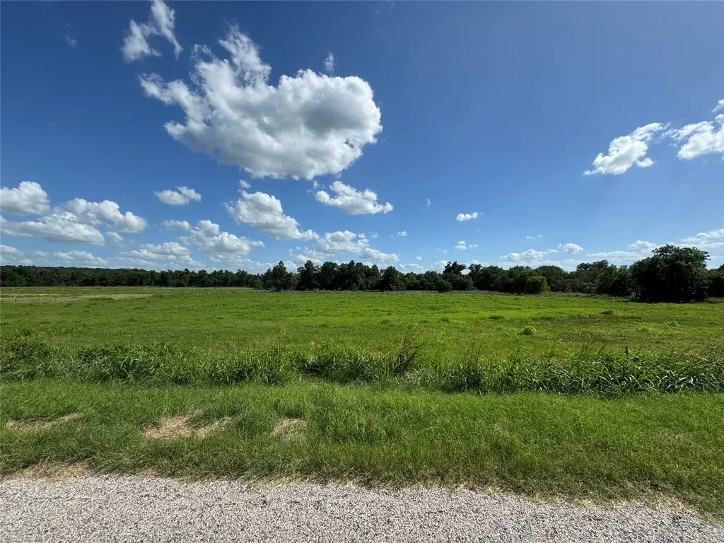 Tbd Tract #7 E Travis Holland TX 76534