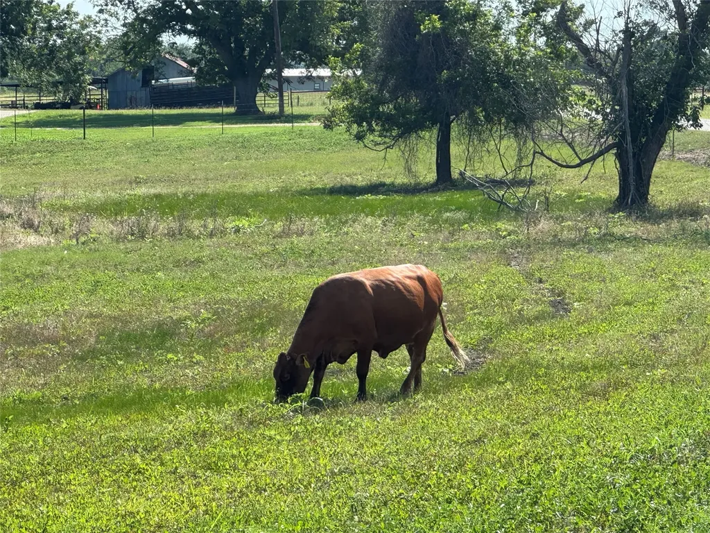 Tbd Tract #7 E Travis Holland TX 76534