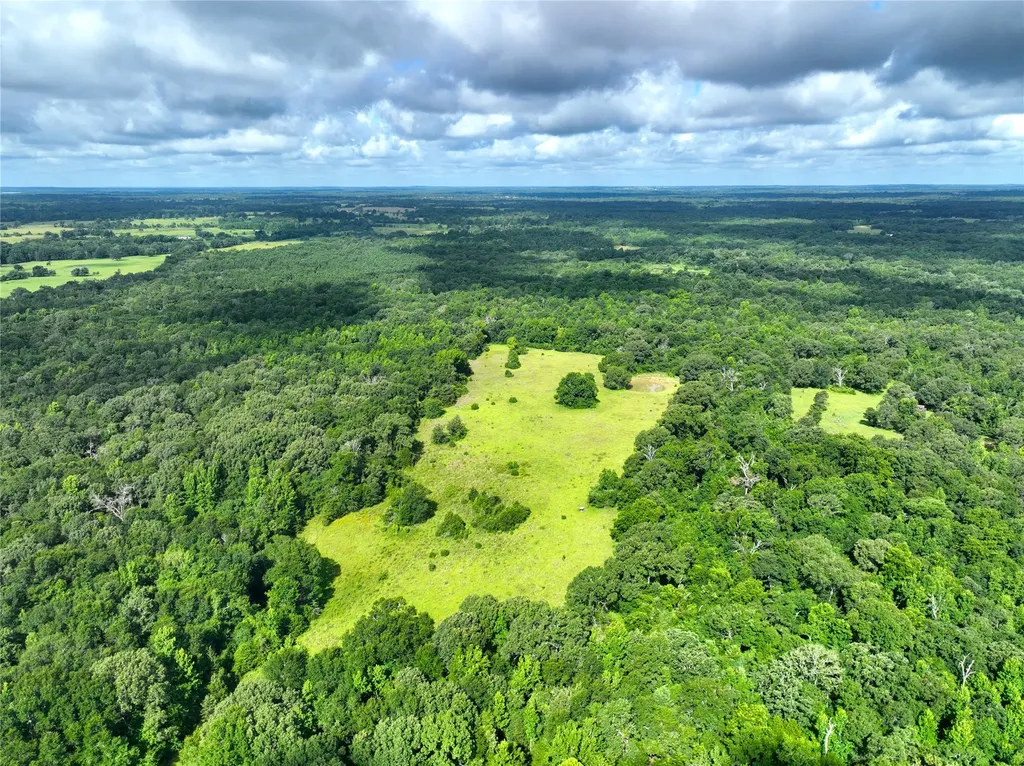 Tbd Fcr 280 Oakwood TX 75855