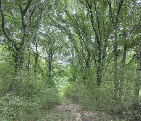 32 Acres County Road 2324 Como TX 75431
