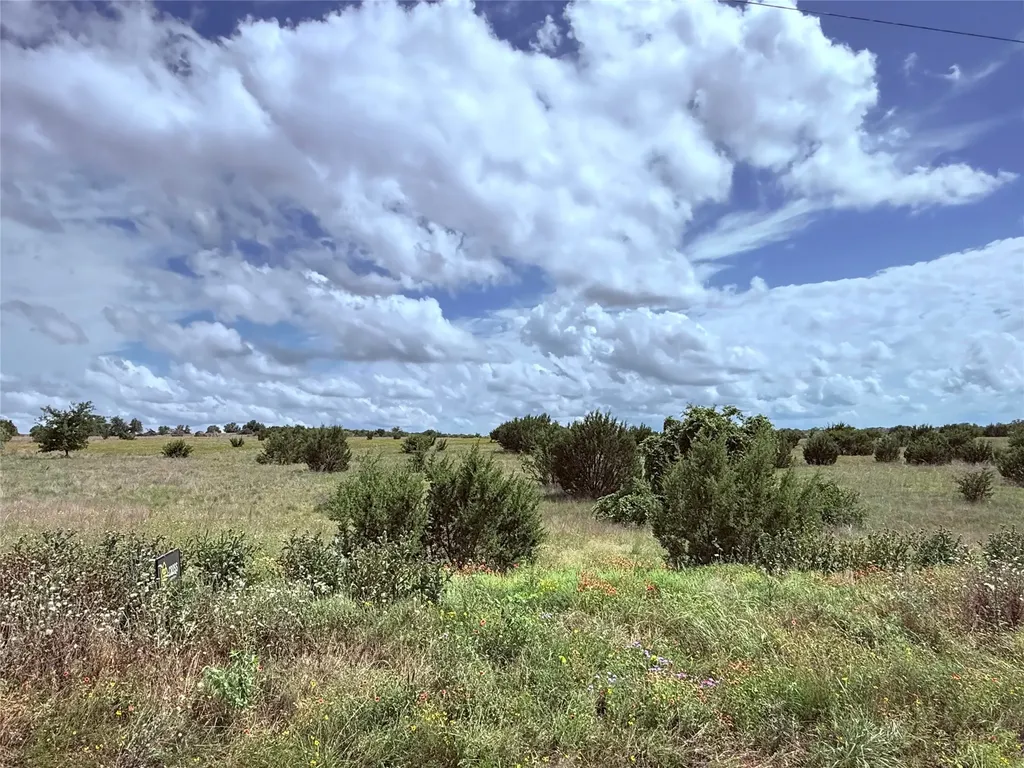 184 Gilmore Court Lipan TX 76462