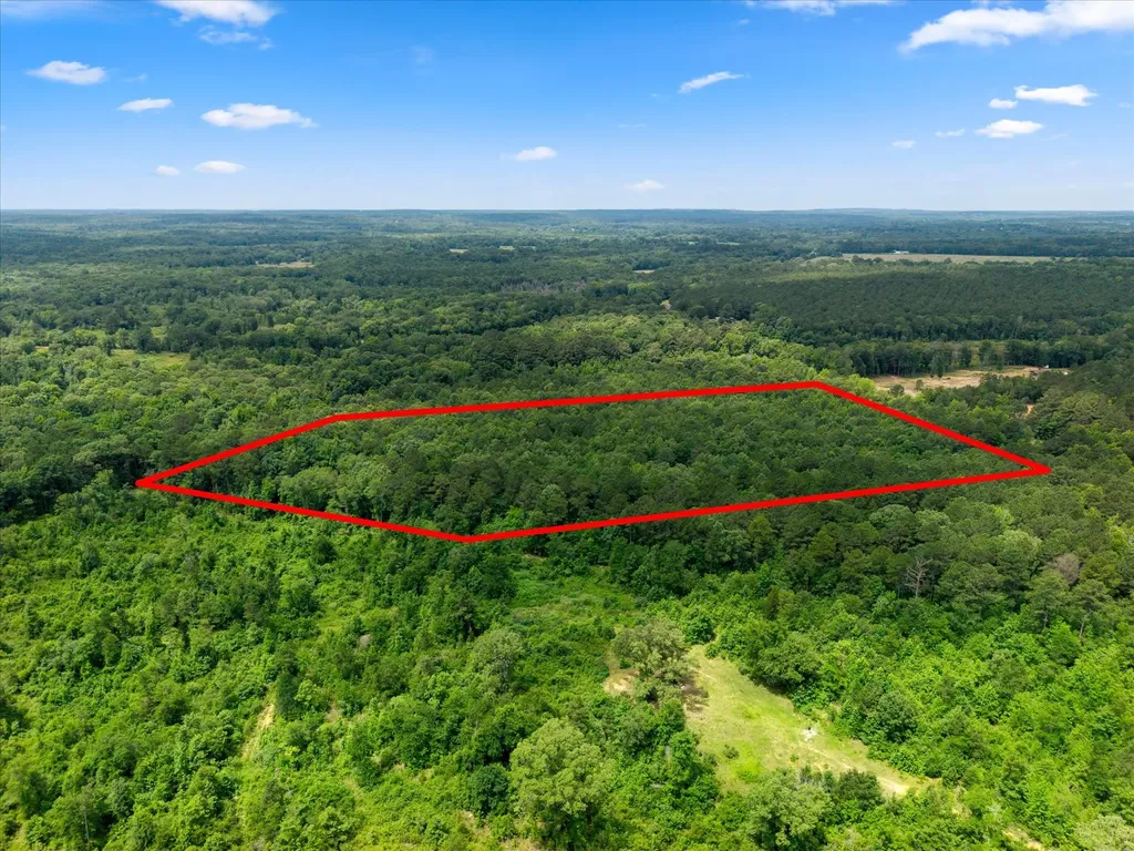 Lots 7,8,9 J Lazarine Fm 130 Hughes Springs TX 75656