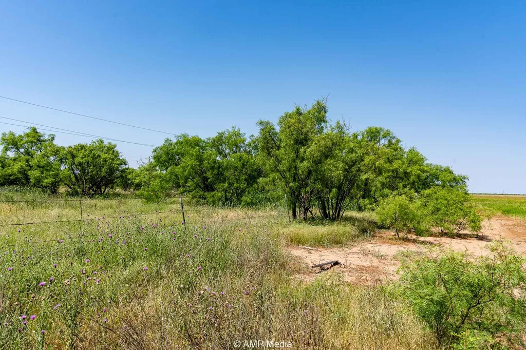 Fm 2142 Fm 2142 Rotan TX 79546
