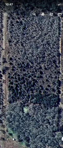 000 County Road 123 Ledbetter TX 78946