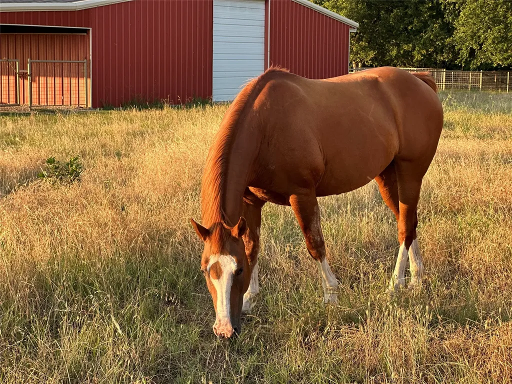 510 County Road 247 Valley View TX 76272