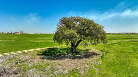 Tbd Tx-6 Dublin TX 76446