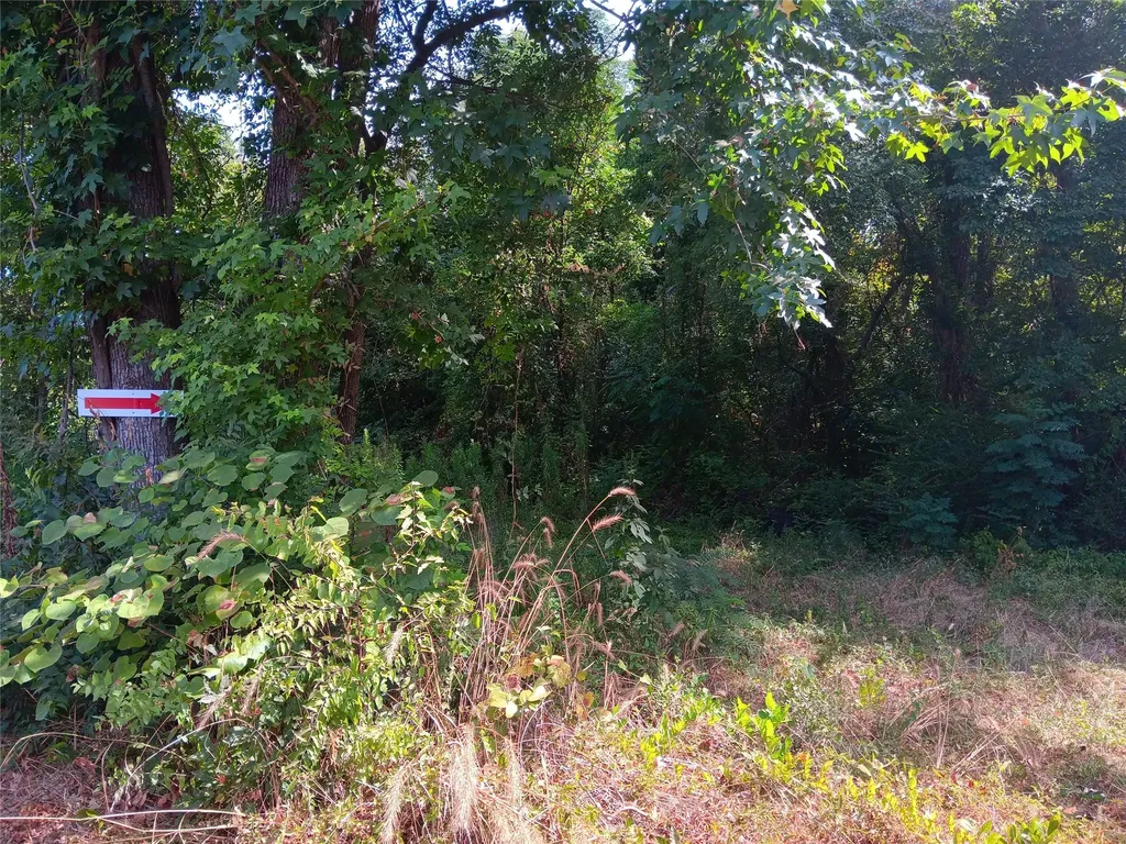 Tbd Private Road Carthage TX 75633
