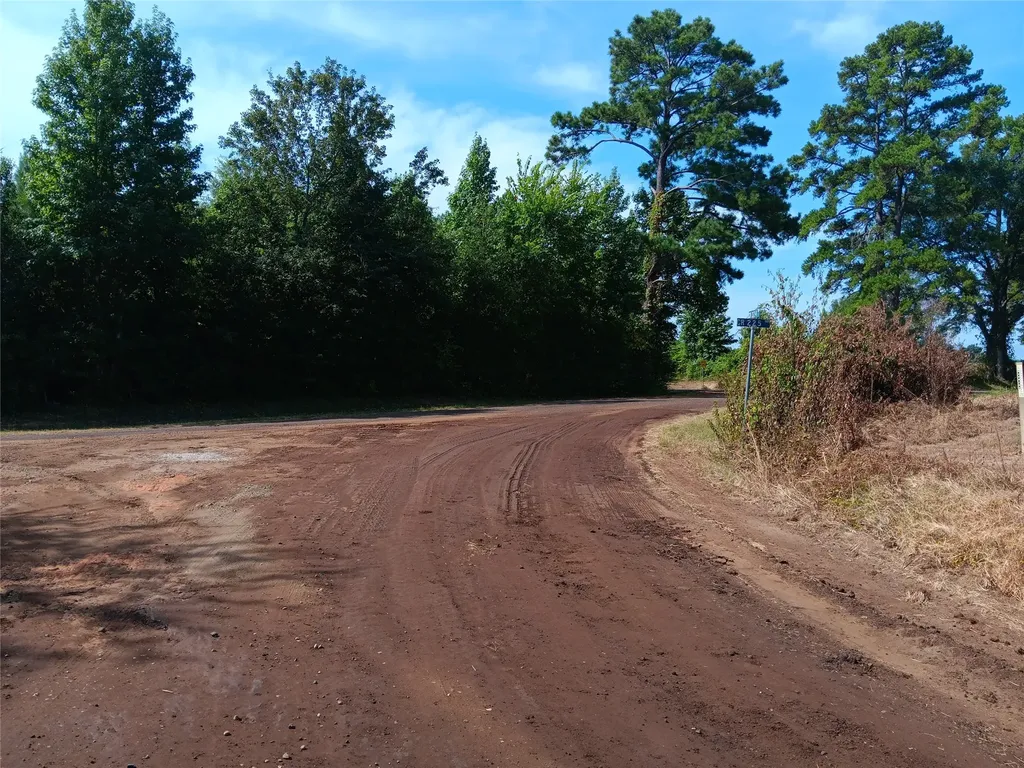 Tbd Private Road Carthage TX 75633
