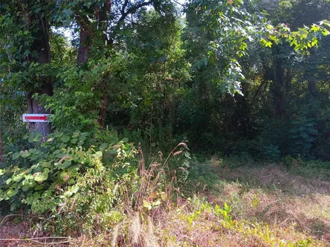 Tbd Private Road Carthage TX 75633