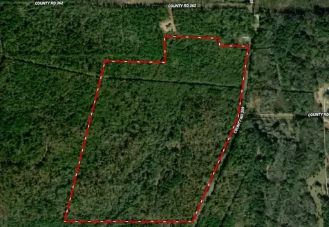 000 Cr-359 Winona TX 75792
