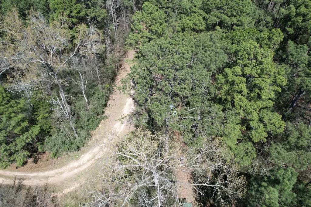 Tbd Billy Ray Road Marshall TX 75672