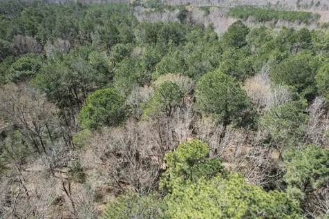 Tbd Billy Ray Road Marshall TX 75672