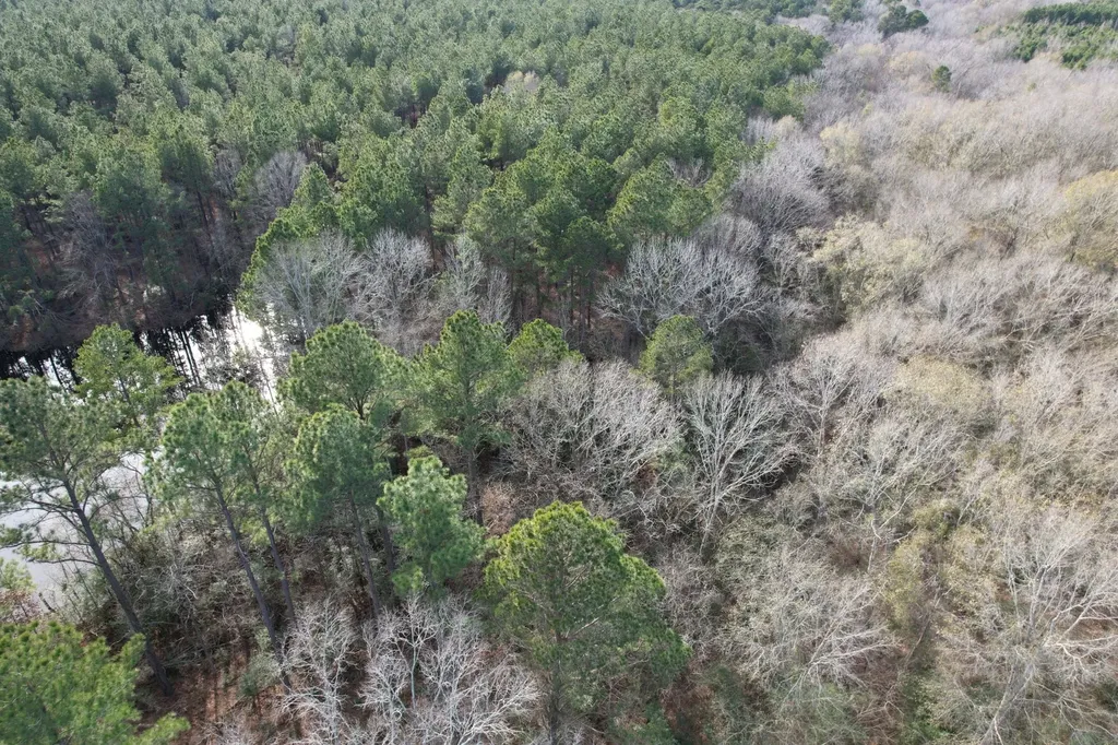 Tract C County Road 4037 Timpson TX 75975
