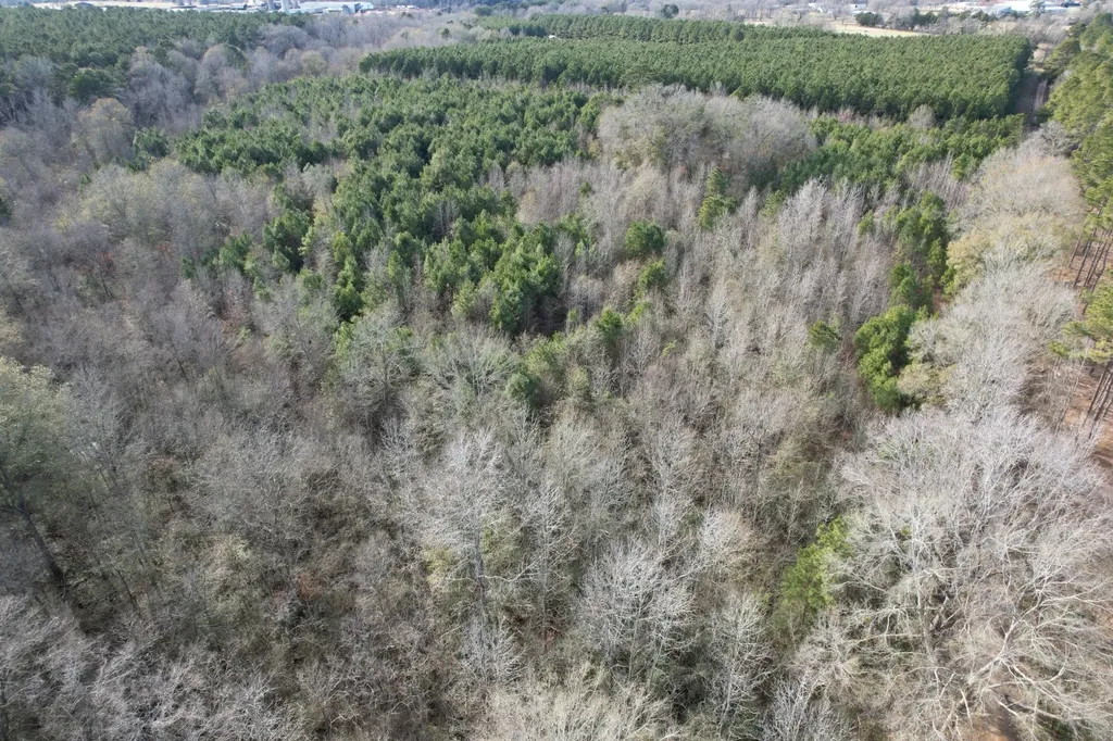 Tract C County Road 4037 Timpson TX 75975