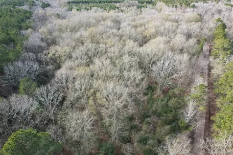 Tract C County Road 4037 Timpson TX 75975