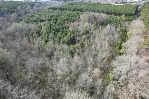 Tract C County Road 4037 Timpson TX 75975