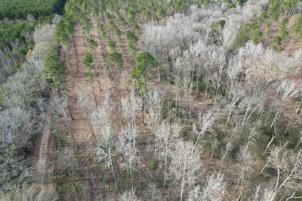Tract B County Road 4037 Timpson TX 75975