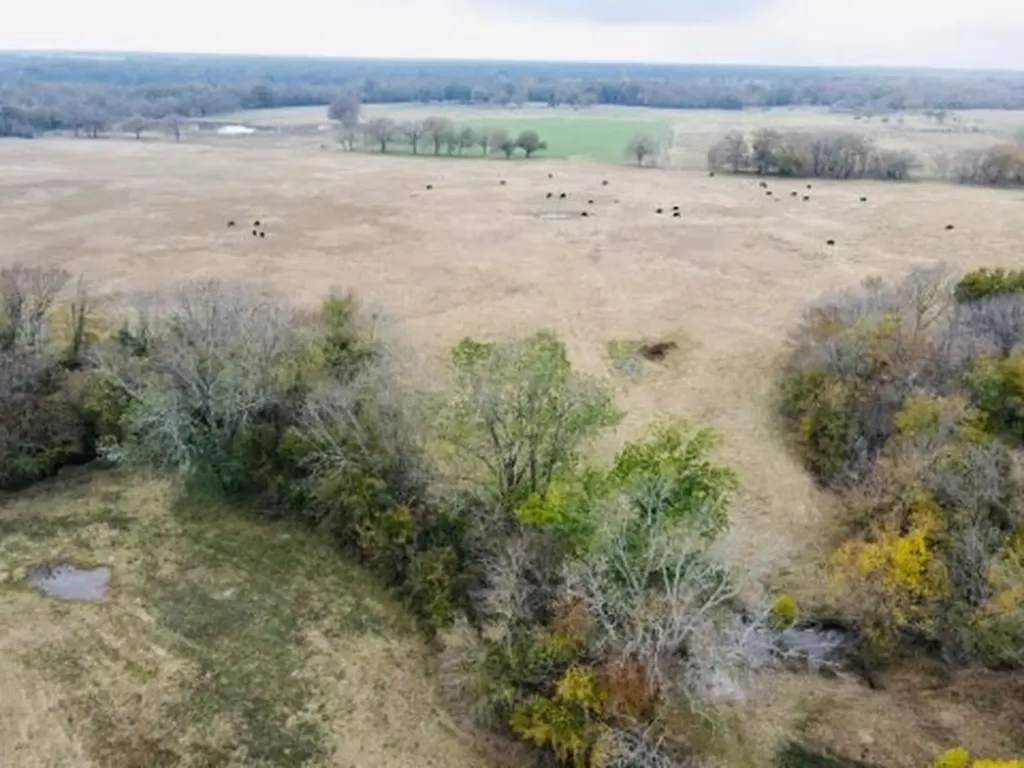 1751 County Road 3561 Sulphur Bluff TX 75481
