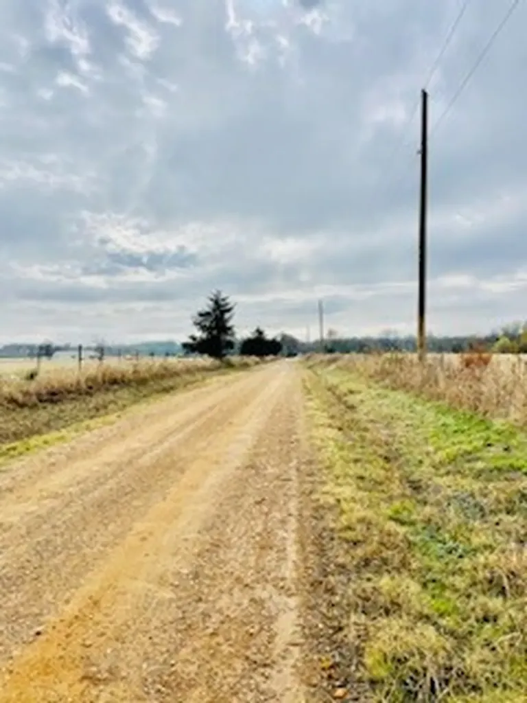1751 County Road 3561 Sulphur Bluff TX 75481