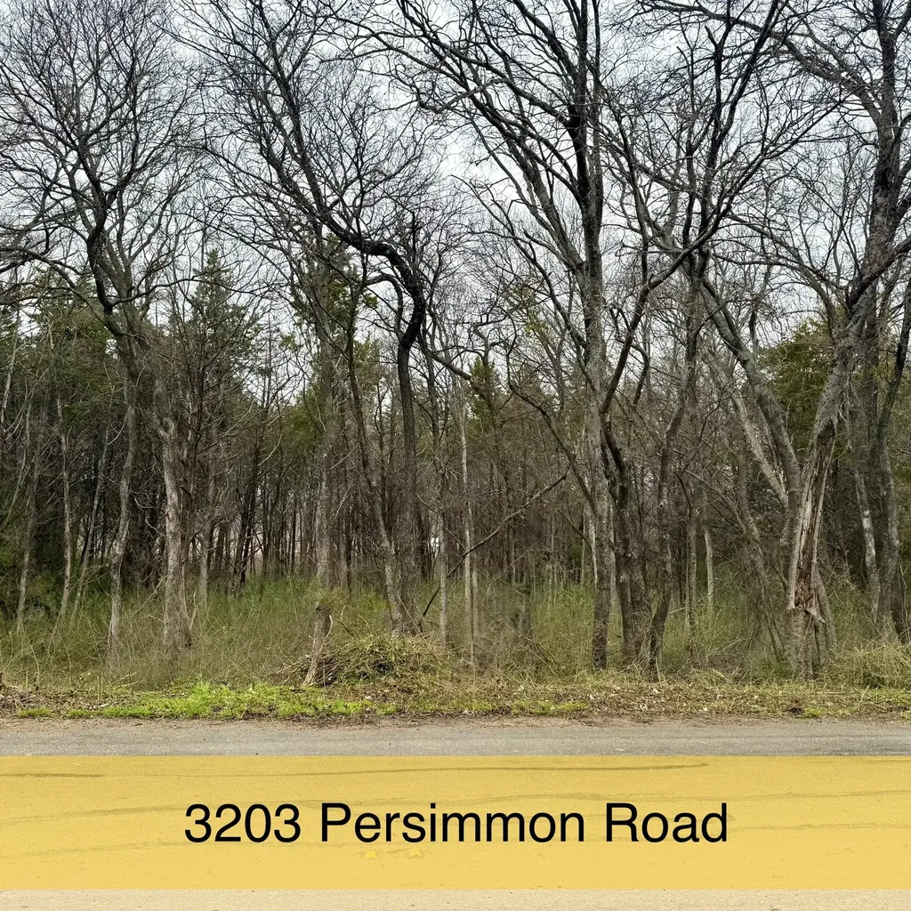 3203 Persimmon Road Dallas TX 75241