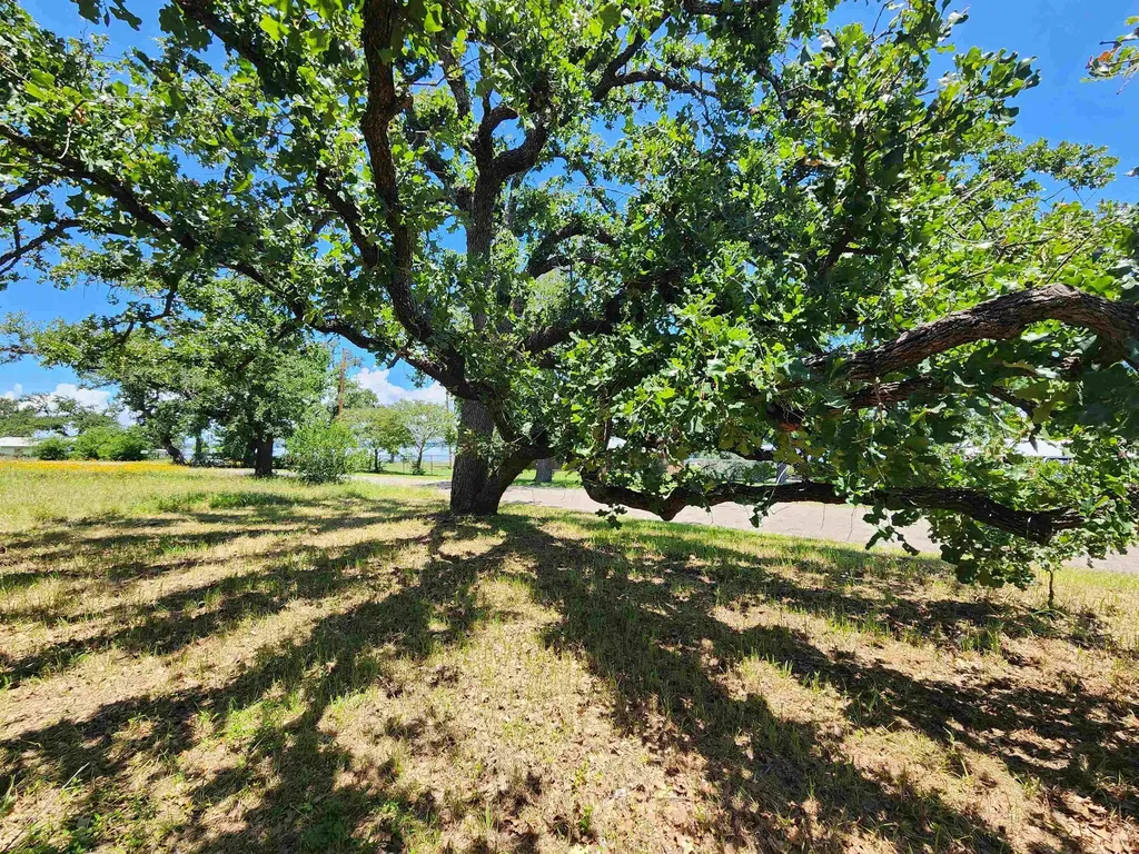 1011 Pebble Drive Buchanan Dam TX 78609