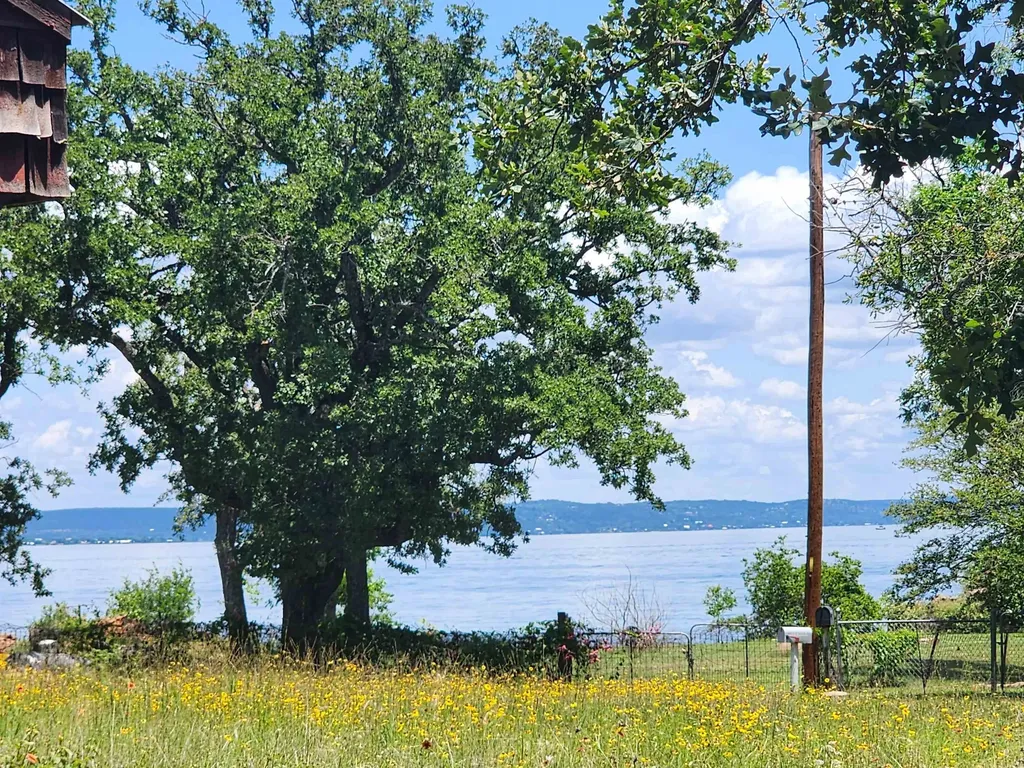1011 Pebble Drive Buchanan Dam TX 78609
