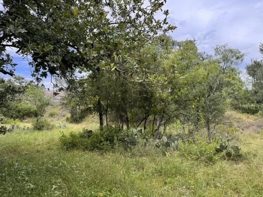 Lot 27 Pecan Lane Cottonwood Shores TX 78657