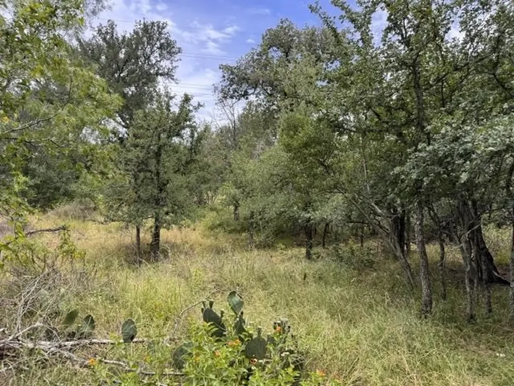 Lot 27 Pecan Lane Cottonwood Shores TX 78657