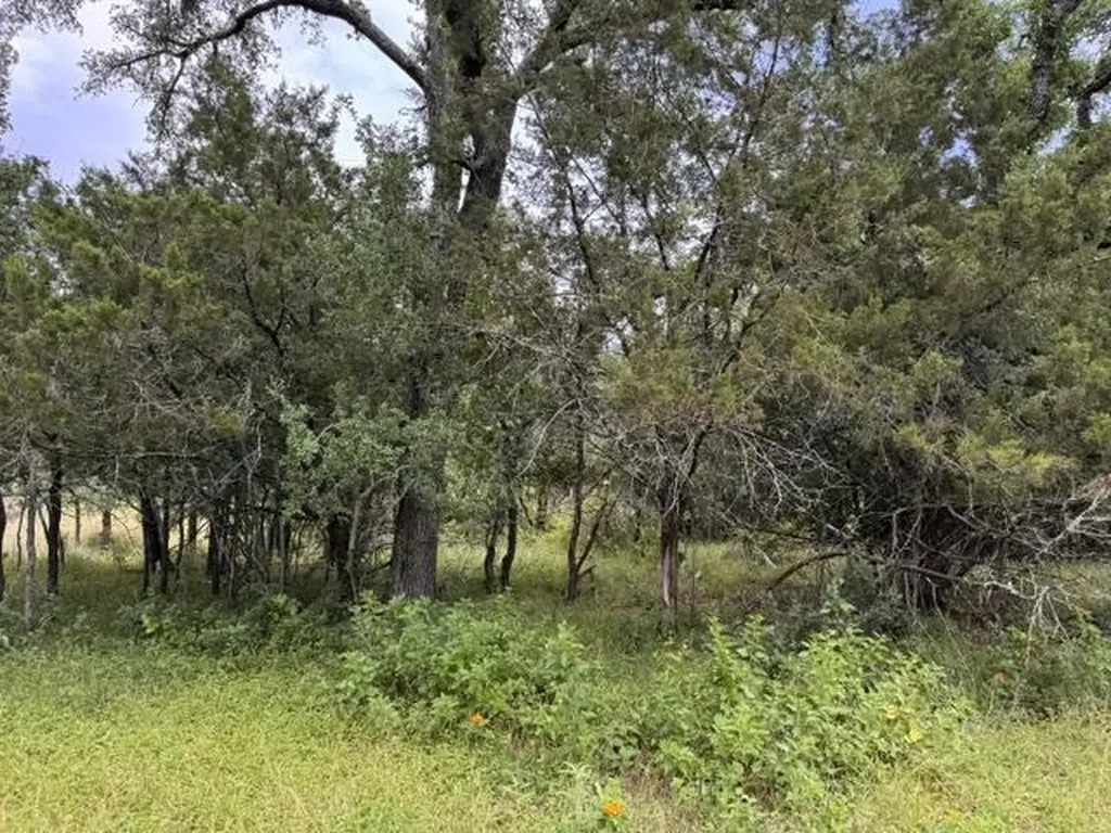 Lot 27 Pecan Lane Cottonwood Shores TX 78657