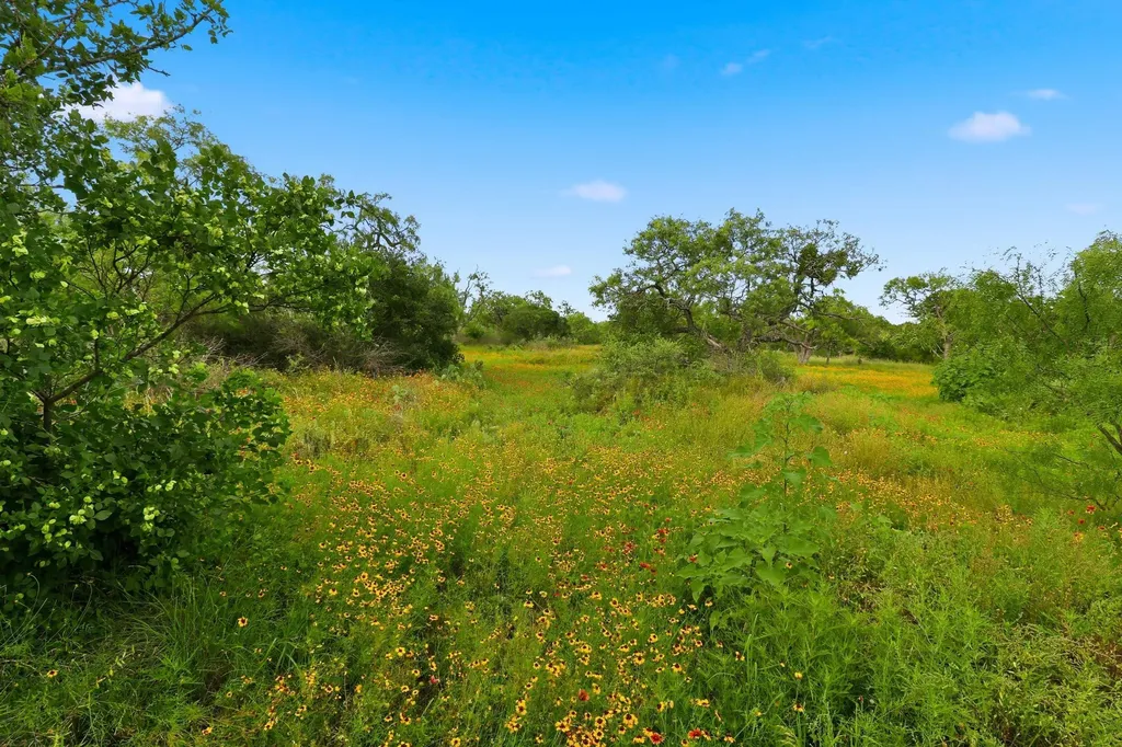 Tbd Lillian Dean/jennifer Street Buchanan Dam TX 78609