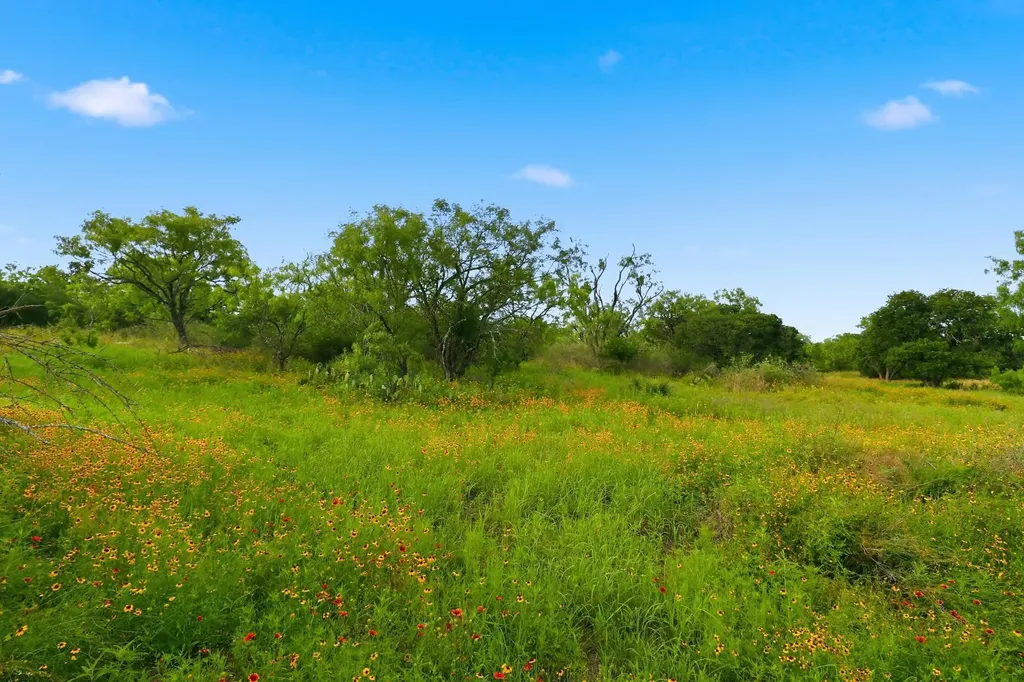 Tbd Lillian Dean/jennifer Street Buchanan Dam TX 78609
