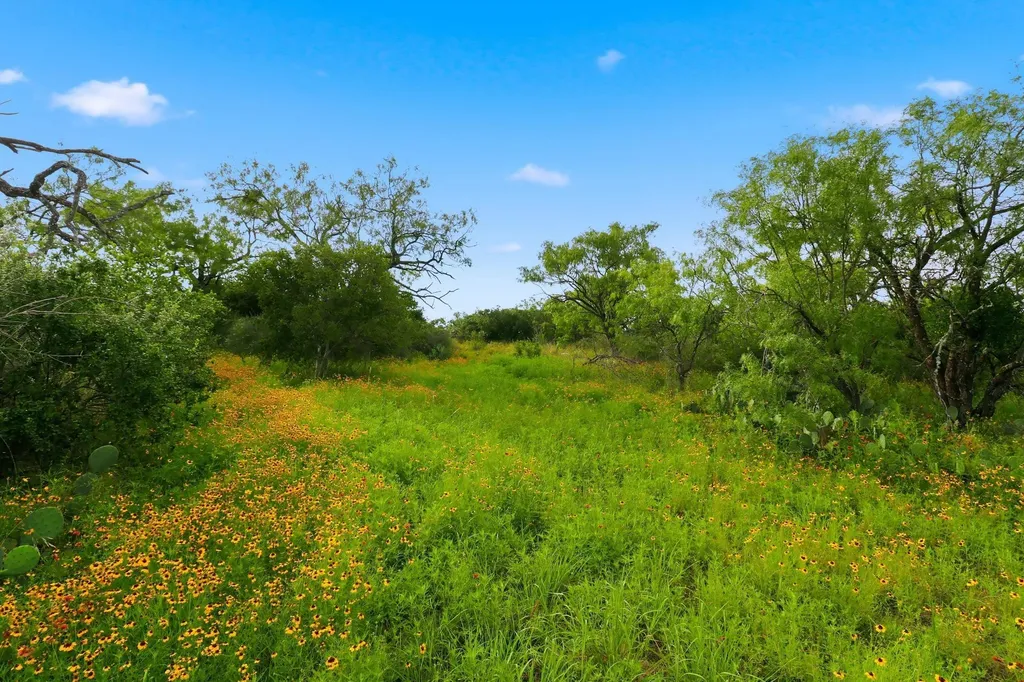 Tbd Lillian Dean/jennifer Street Buchanan Dam TX 78609