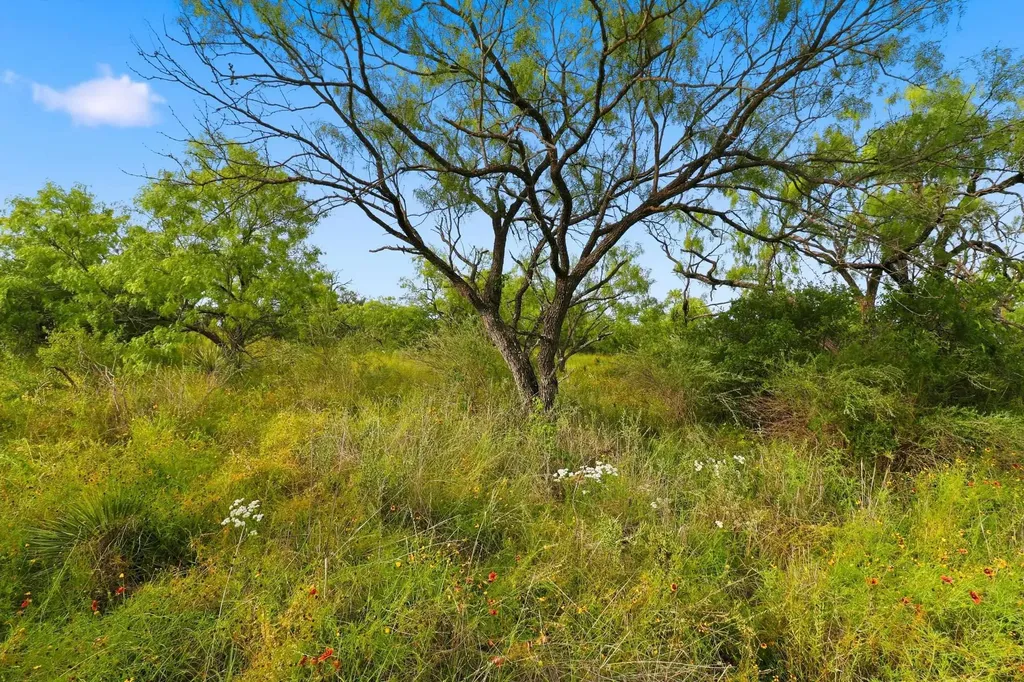 Tbd Lillian Dean/jennifer Street Buchanan Dam TX 78609