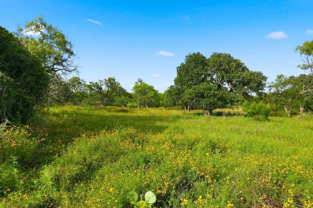 Tbd Lillian Dean/jennifer Street Buchanan Dam TX 78609