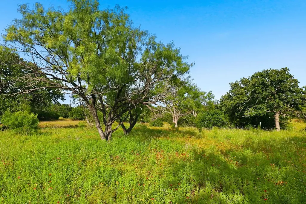 Tbd Lillian Dean/jennifer Street Buchanan Dam TX 78609