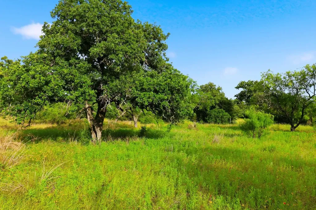 Tbd Lillian Dean/jennifer Street Buchanan Dam TX 78609