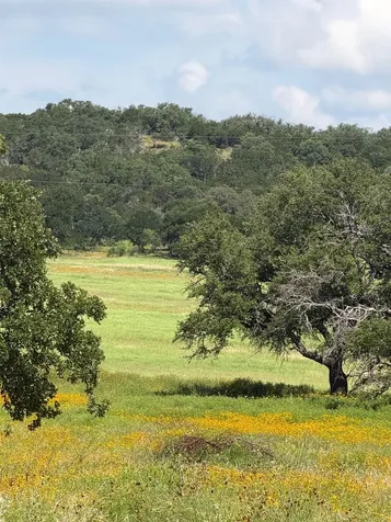 3255 Cr 435 Cherokee TX 76832