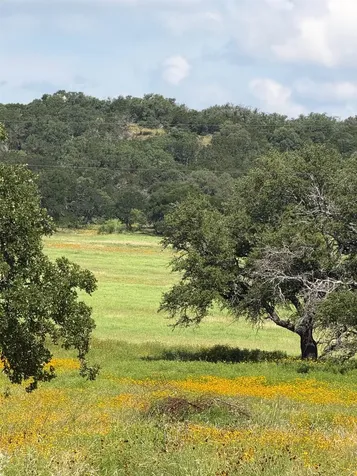 3255 Cr 435 Cherokee TX 76832