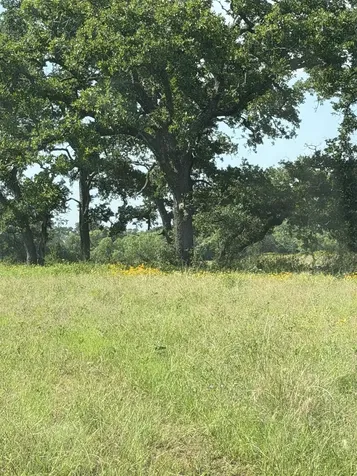 3255 Cr 435 Cherokee TX 76832