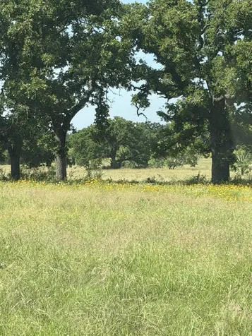 3255 Cr 435 Cherokee TX 76832